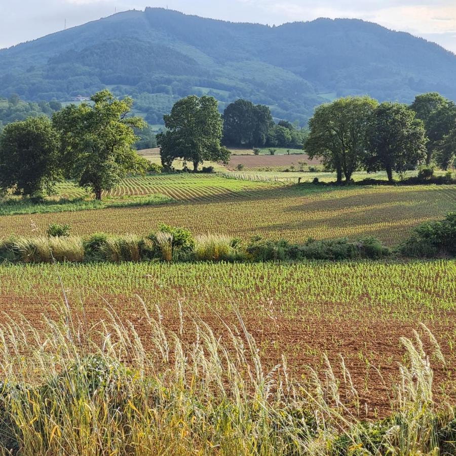 La Figal De Xugabolos, Salas Salas  Zewnętrze zdjęcie